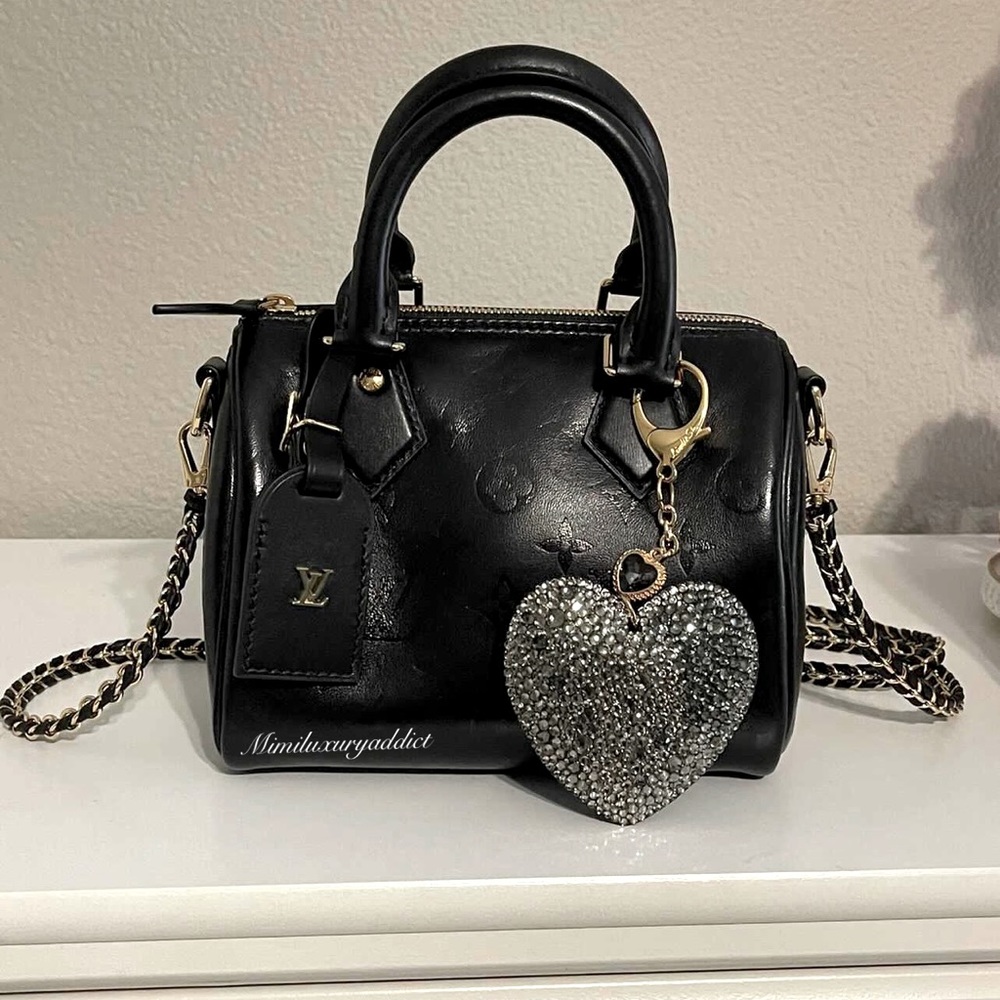 Louis Vuitton speedy bb ink